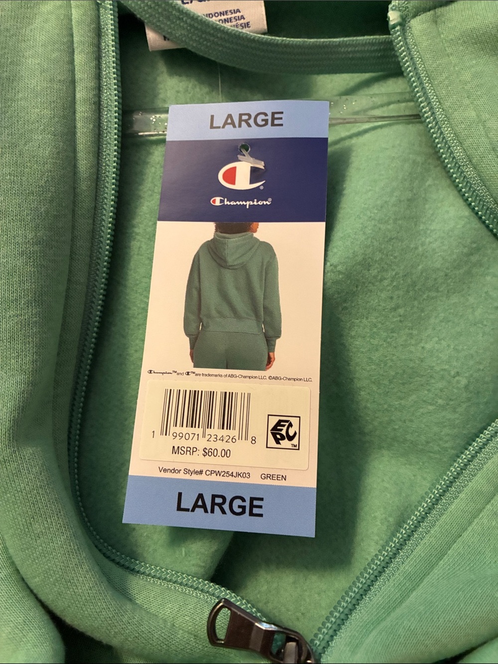 Champion Women's Full-Zip Hoodie in Mint Green - Picture 14 of 14